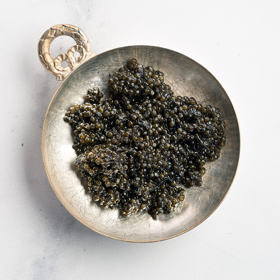 Transmontanus Kaviar - caviaraugustus