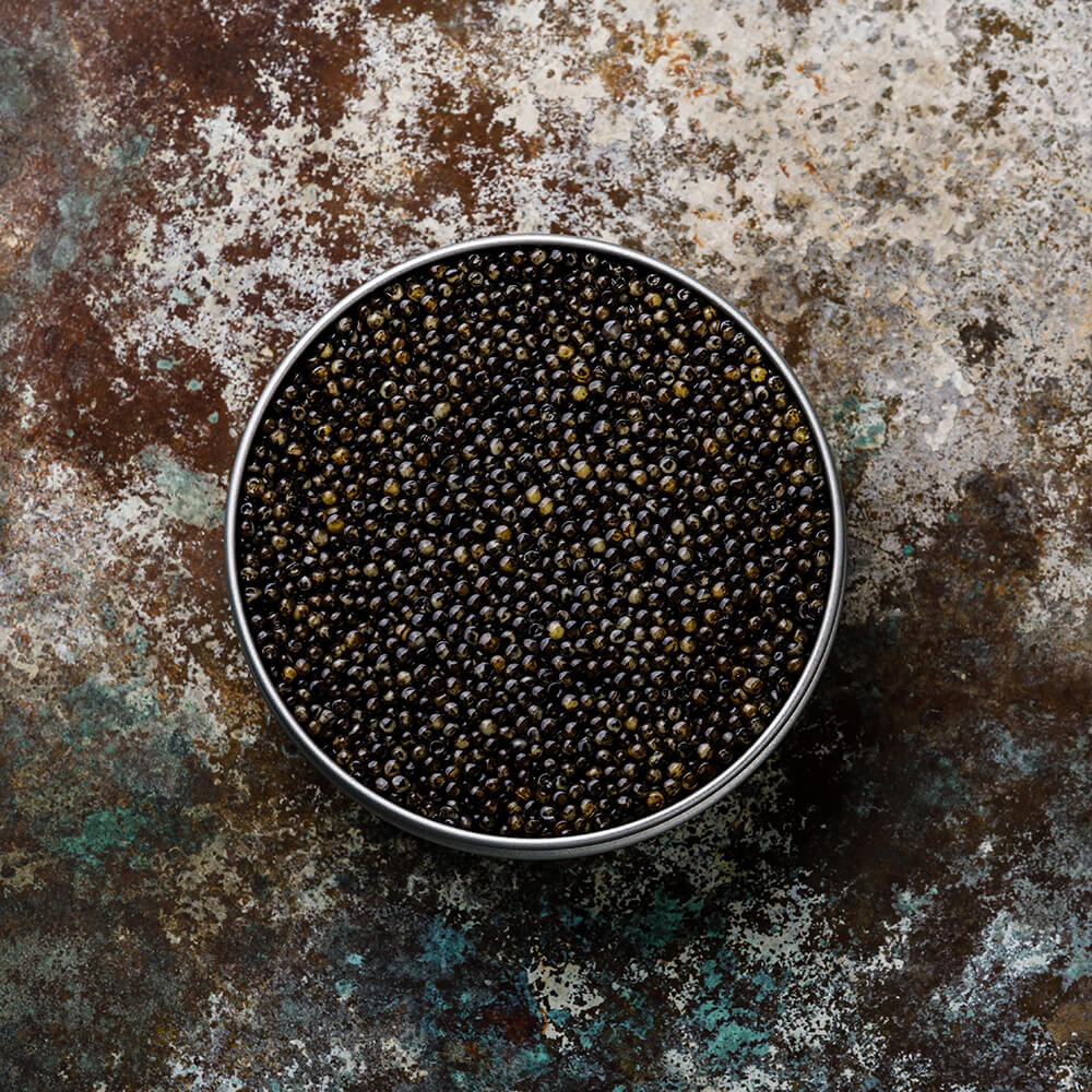 Beluga Kaviar - caviar augustus