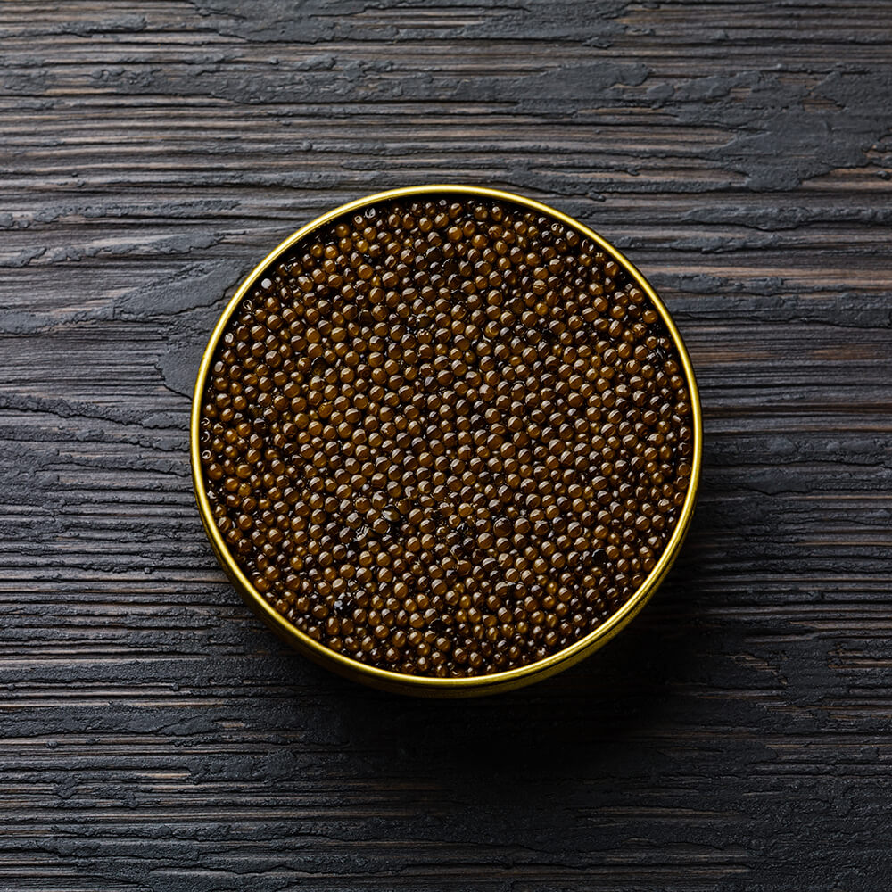 Osietra Kaviar - caviar augustus